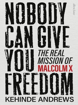 cover image of Nobody Can Give You Freedom